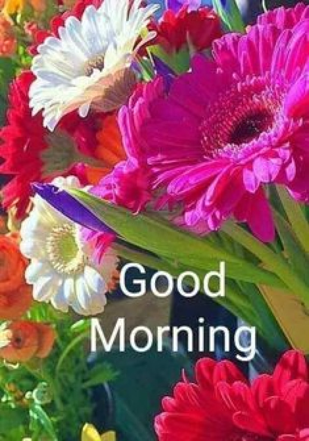 Hindi Good Morning by Vaghela Niya : 111224145