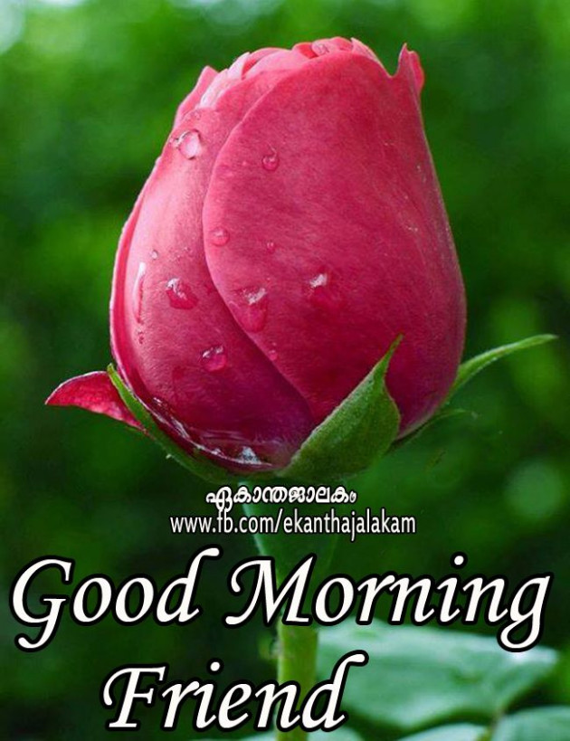 Hindi Good Morning by Vaghela Niya : 111224149