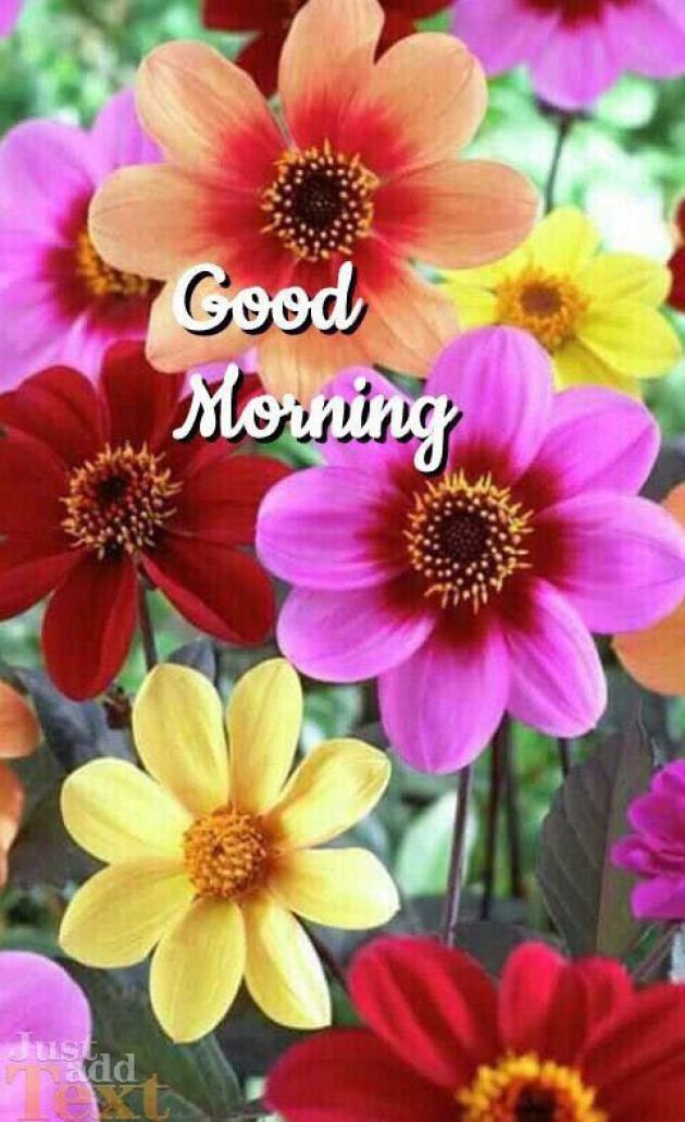 Hindi Good Morning by Vaghela Niya : 111224154