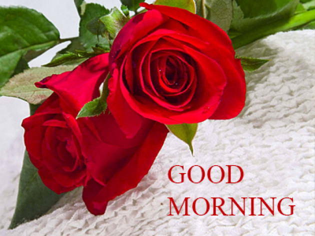 Hindi Good Morning by Vaghela Niya : 111224170