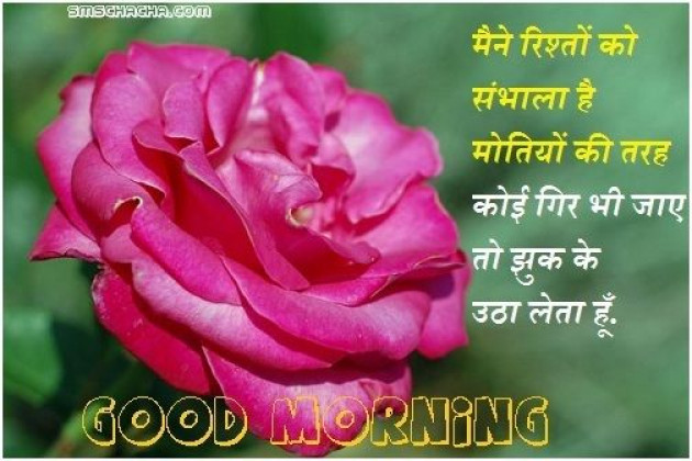 Hindi Good Morning by Vaghela Niya : 111224172