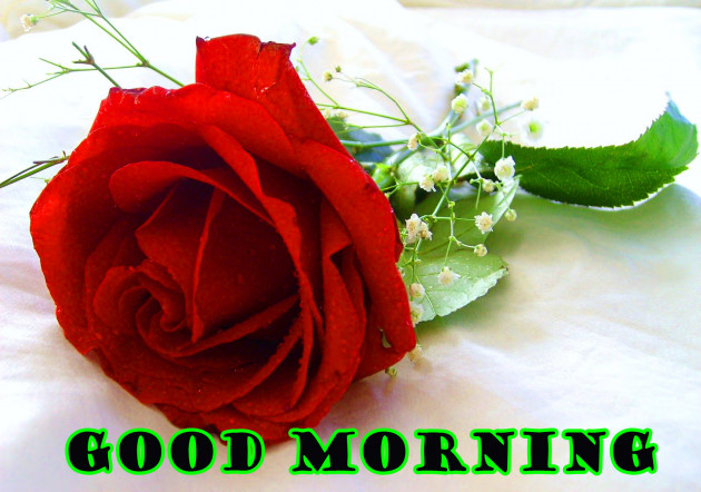 Hindi Good Morning by Vaghela Niya : 111224182