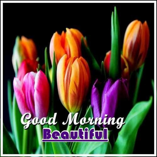 Hindi Good Morning by Vaghela Niya : 111224183