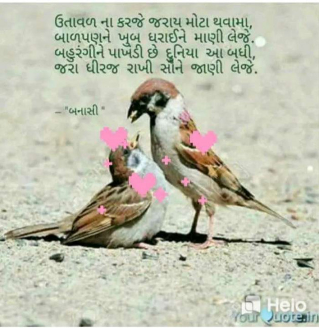 Gujarati Quotes by Sanju Parmar : 111224901