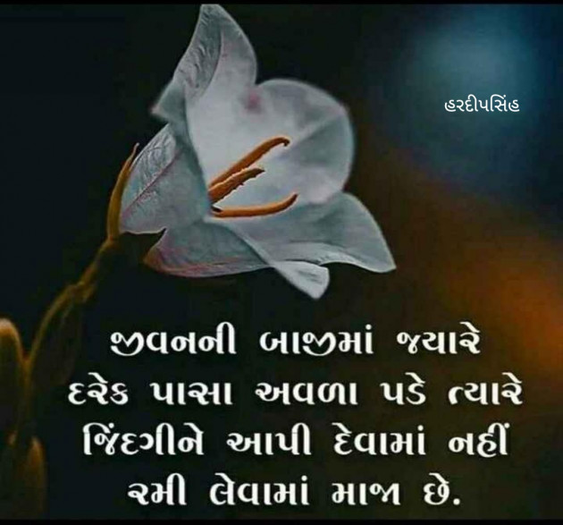 Gujarati Quotes by Hardipsinh : 111224918