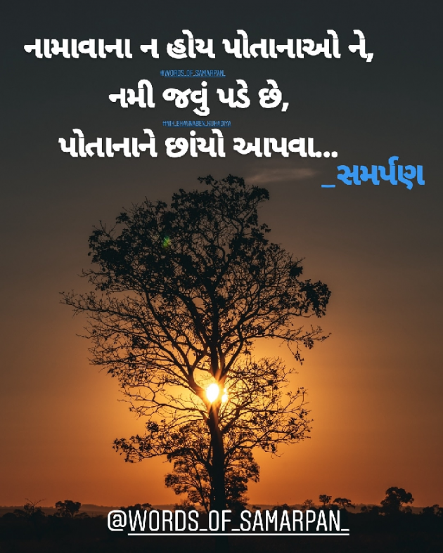 Gujarati Quotes by Nikunj kukadiya samarpan : 111225402