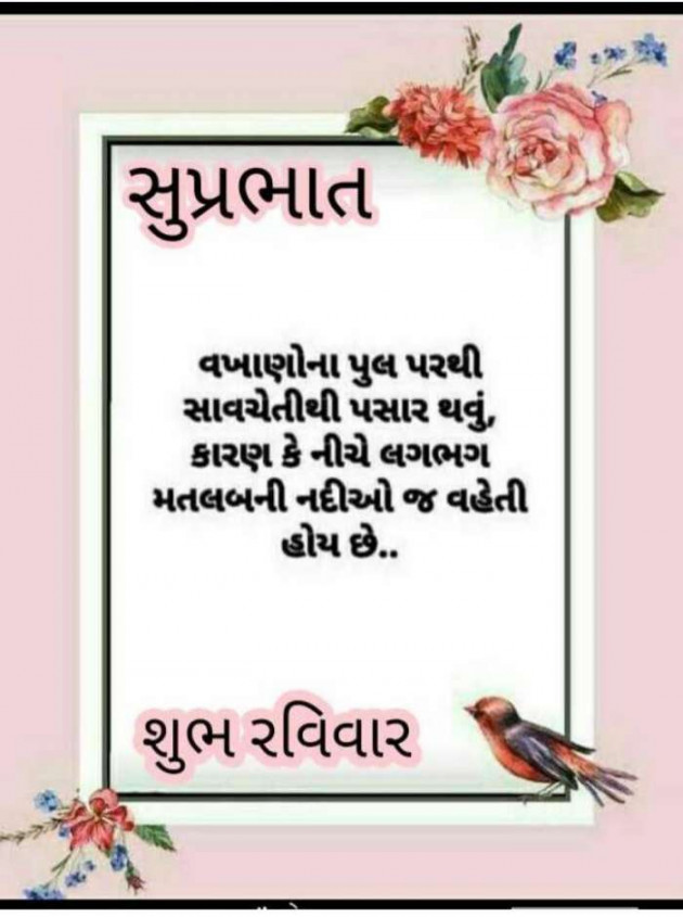 Gujarati Whatsapp-Status by sikandar : 111225550