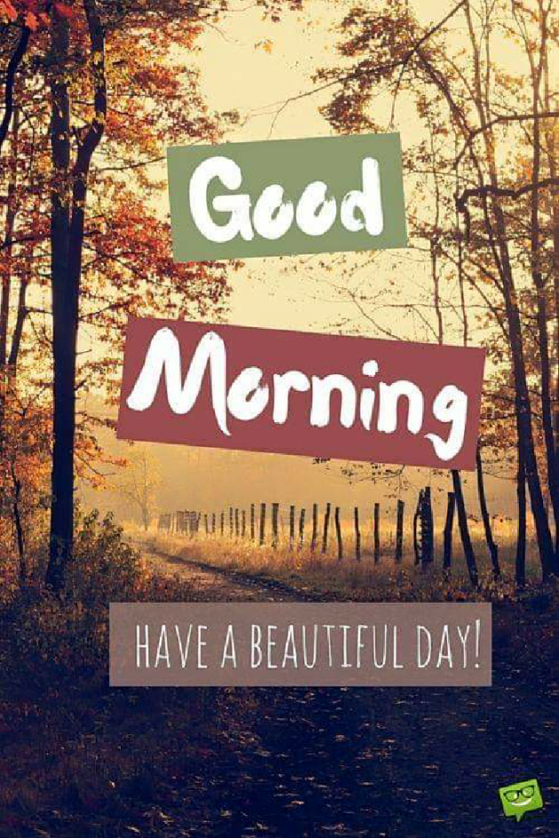 English Good Morning by Ansh Patel : 111225578