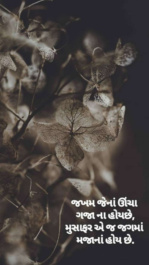 Gujarati Quotes by Nimesh Shukla : 111225600