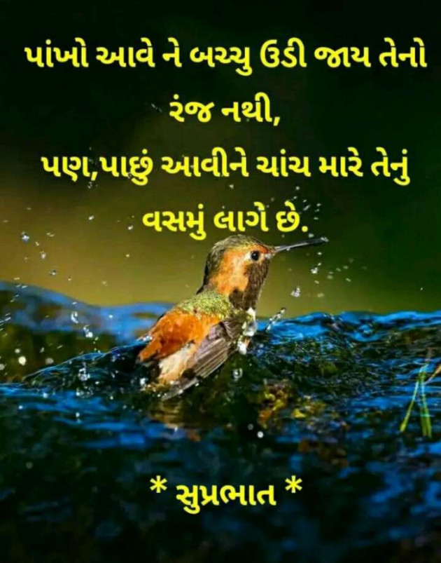 Gujarati Quotes by Sanju Parmar : 111225687