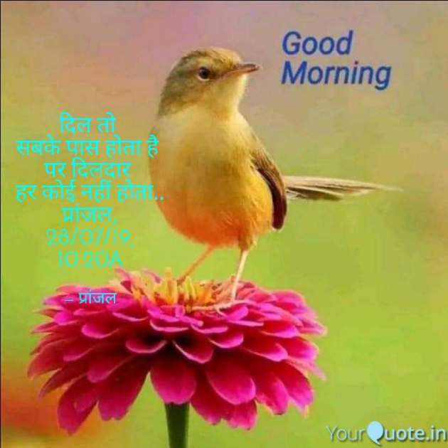 Hindi Quotes by Pranjal Shrivastava : 111225723