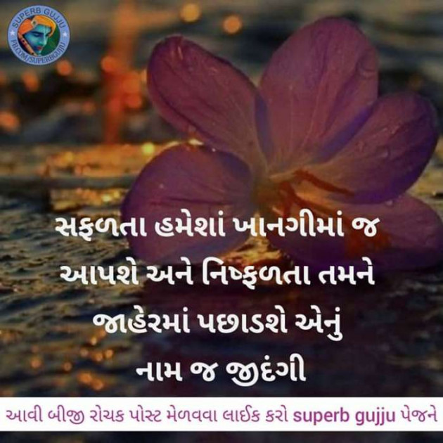 Gujarati Quotes by Pragnesh Ladani : 111226224