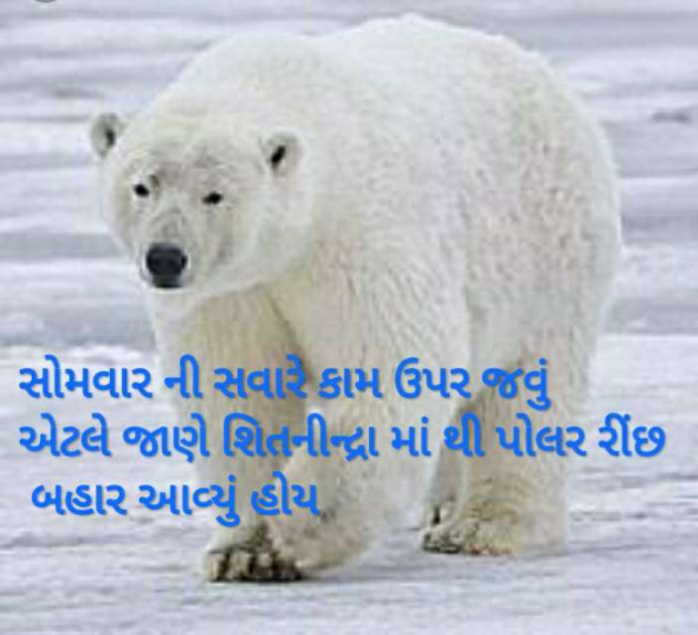 Gujarati Thought by Kishan Suryavanshi : 111226342