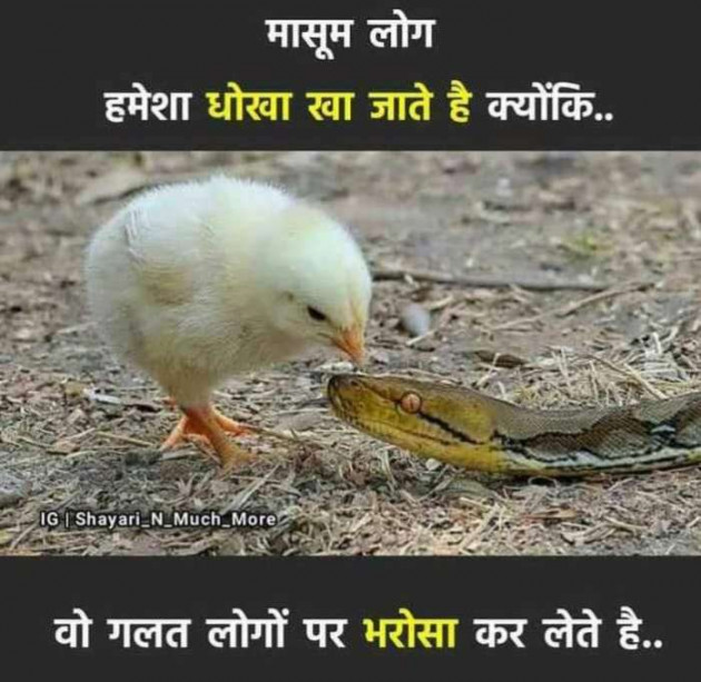 English Quotes by Piyush : 111226780