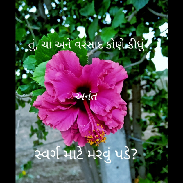 Gujarati Romance by Apurva Oza : 111226964