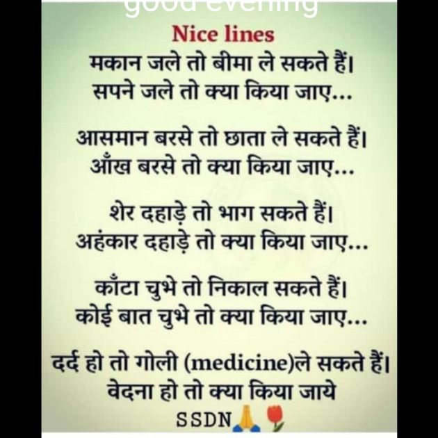 English Whatsapp-Status by Mamta Pandya : 111227168