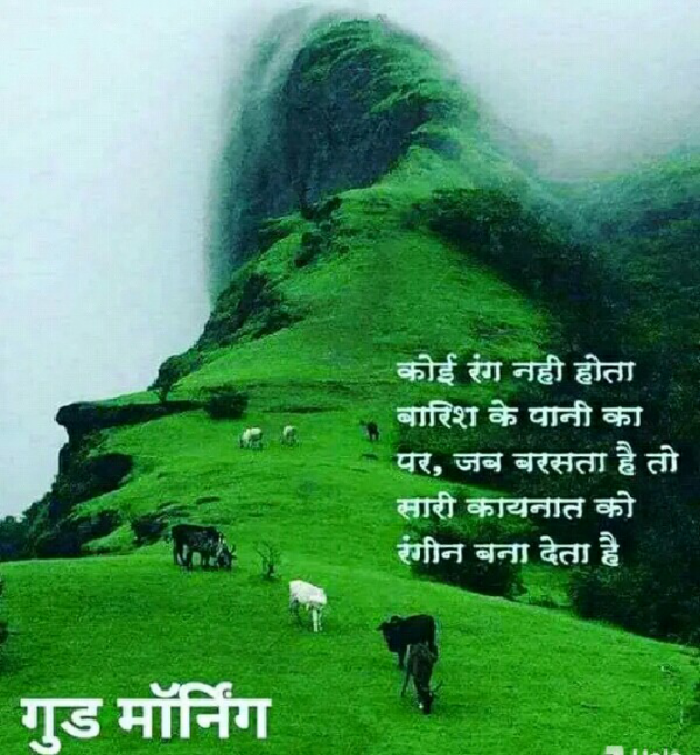English Quotes by T.D.Singh : 111227408