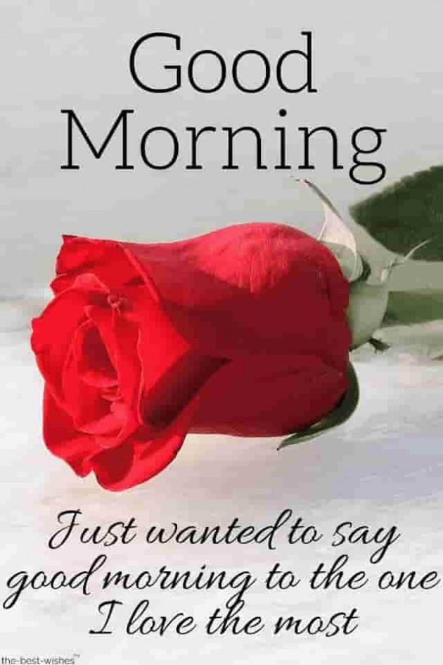 Hindi Good Morning by Vaghela Niya : 111227465