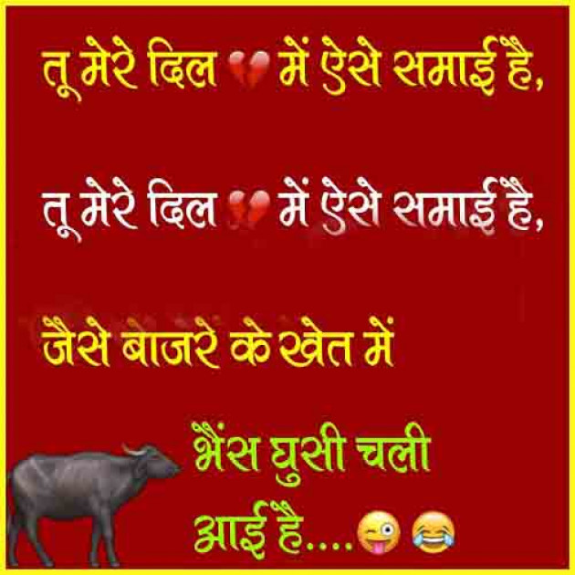 Hindi Jokes by Vaghela Niya : 111227765