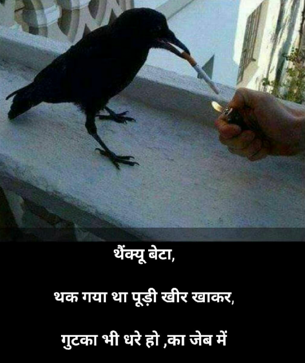 Gujarati Jokes by Ketan : 111227910