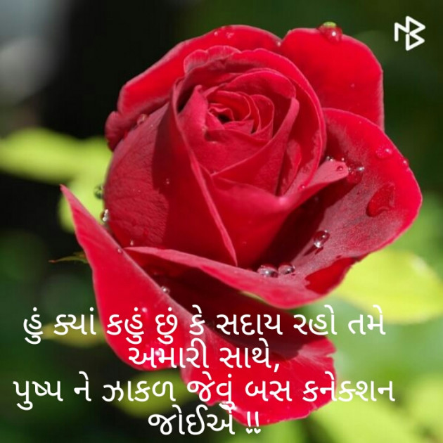 Gujarati Thought by Afsana : 111228292
