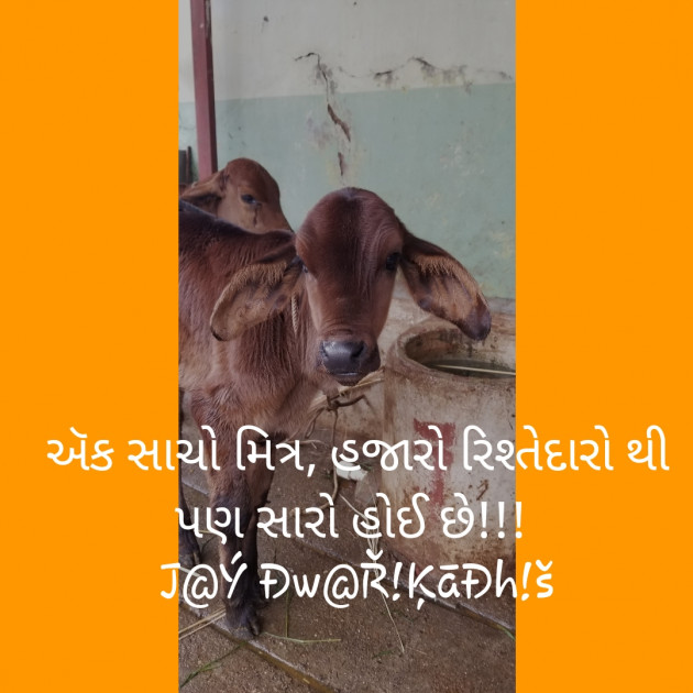 Gujarati Quotes by Priyank Patel Pij : 111228726