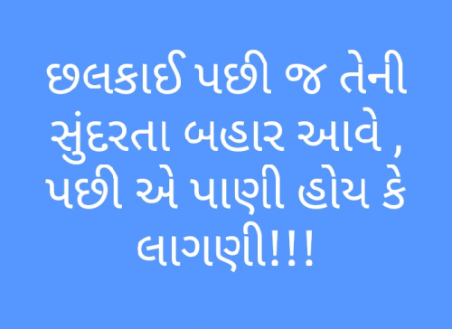 Post by Shayar on 02-Aug-2019 10:31am