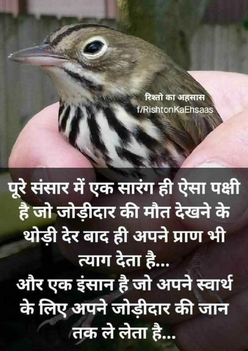 Post by Rahul Shayar on 03-Aug-2019 10:05am