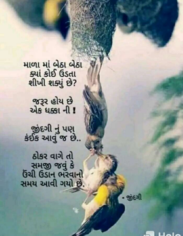 Gujarati Poem by Raj : 111230219