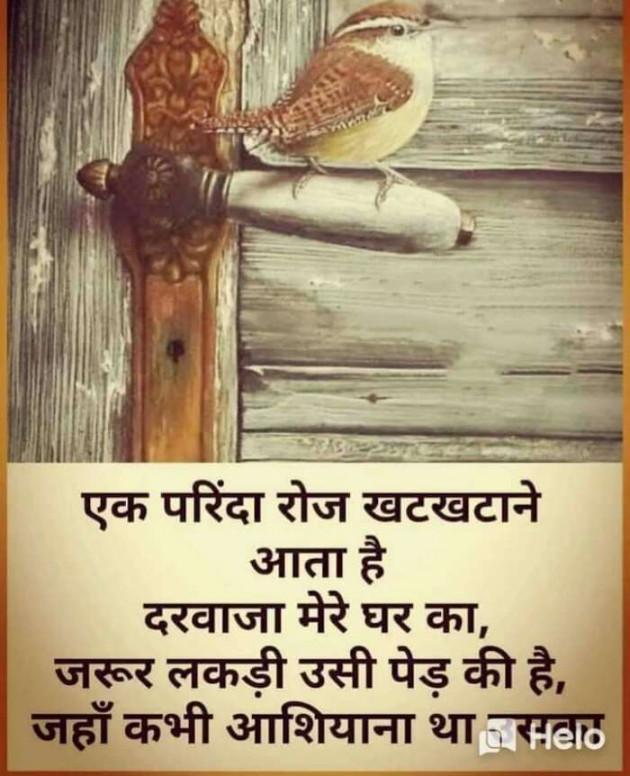 Hindi Motivational by Devesh Mishra : 111231138