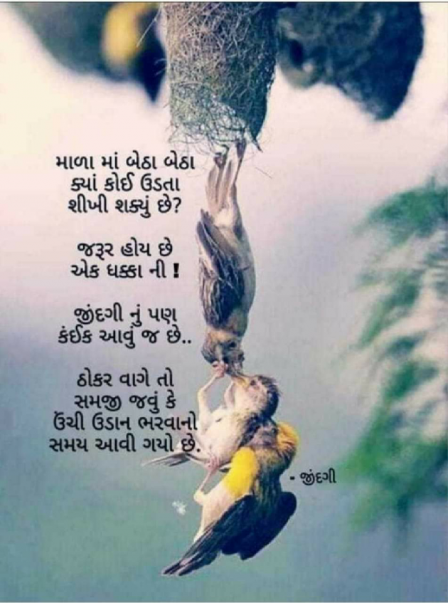 English Quotes by Ansh Patel : 111231609
