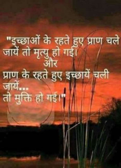 Post by Pooja Mishra on 06-Aug-2019 10:36pm