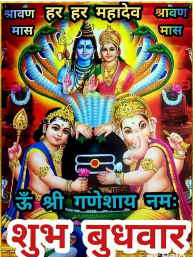 Hindi Quotes by Sawar Mal Patwari : 111231947