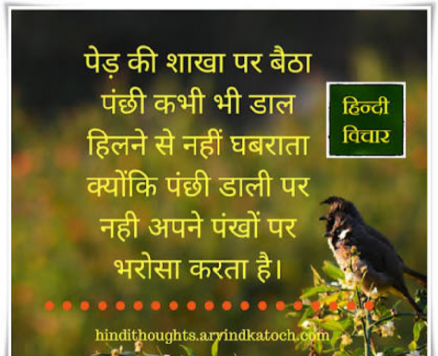 Hindi Thought by Reema : 111232663