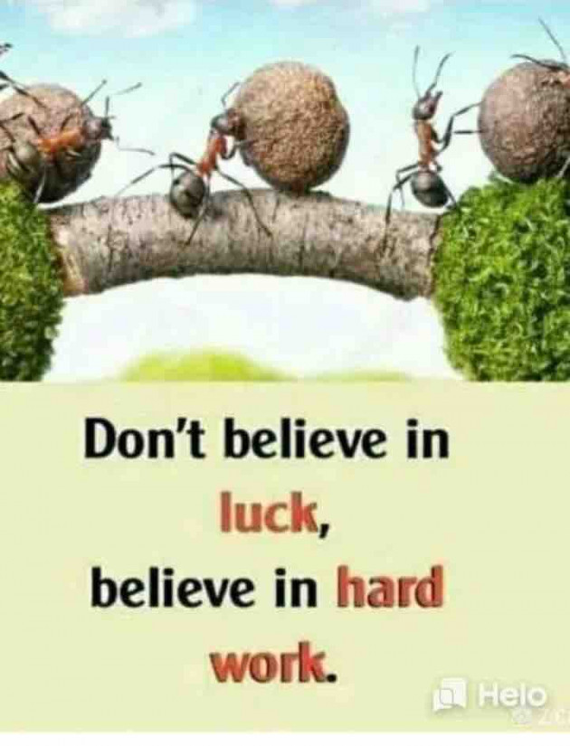 English Quotes by shah : 111233020