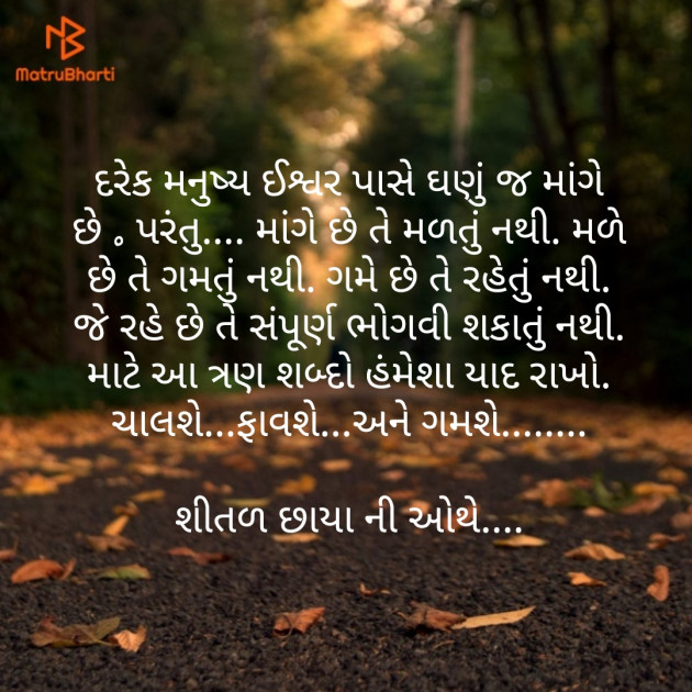 Gujarati Good Evening by Shital Sangani : 111233107