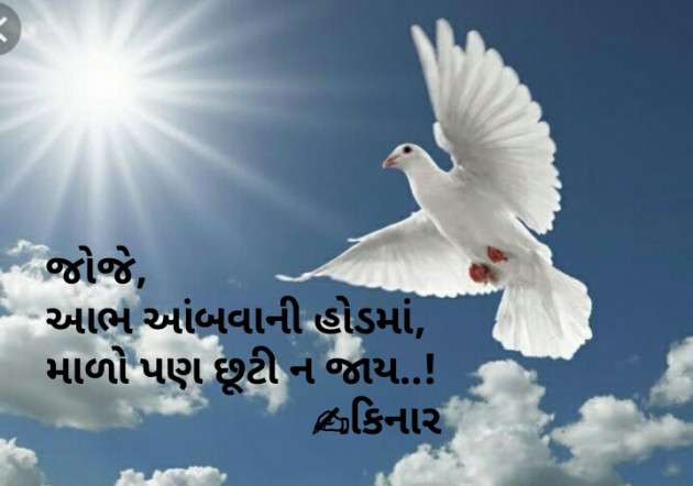 Gujarati Thought by Kinar Rana : 111233258