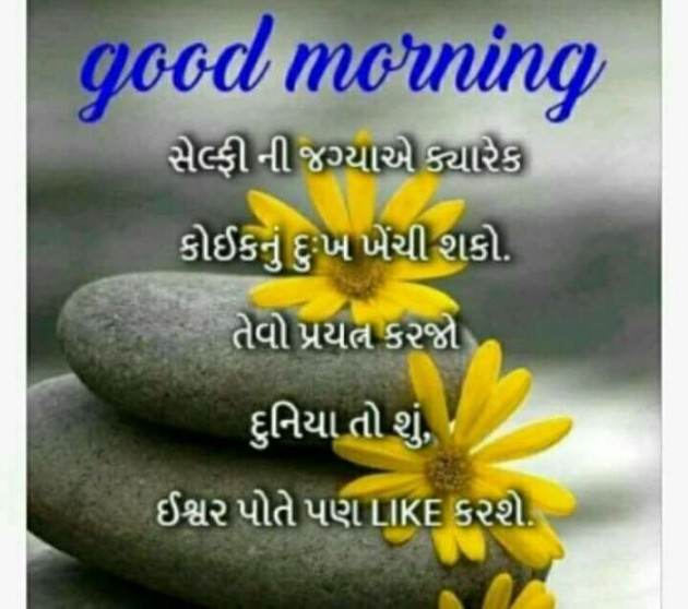 Gujarati Good Morning by Pragnesh Ladani : 111233331