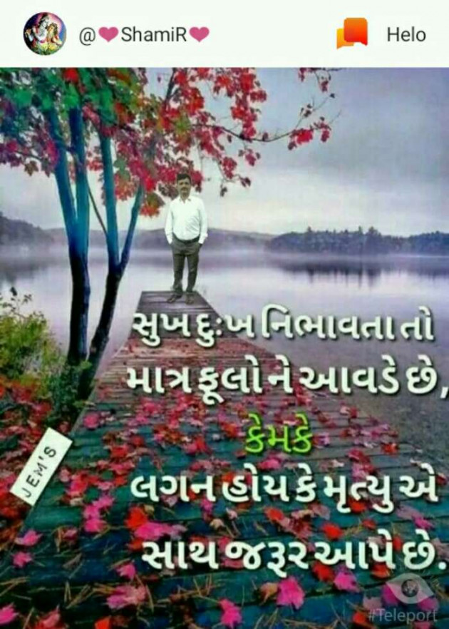 Gujarati Romance by SamiR : 111233717