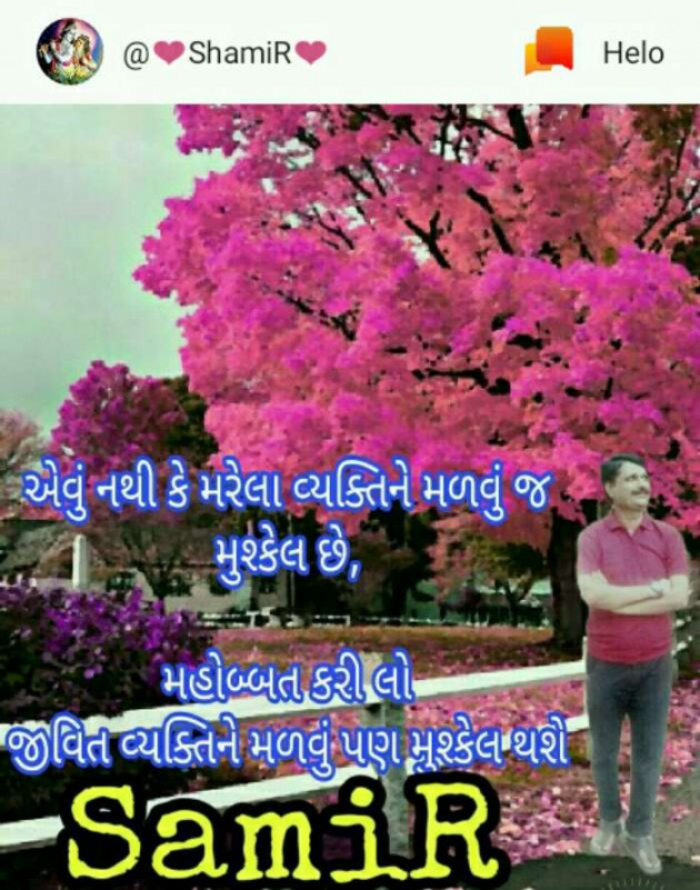 Gujarati Romance by SamiR : 111233728
