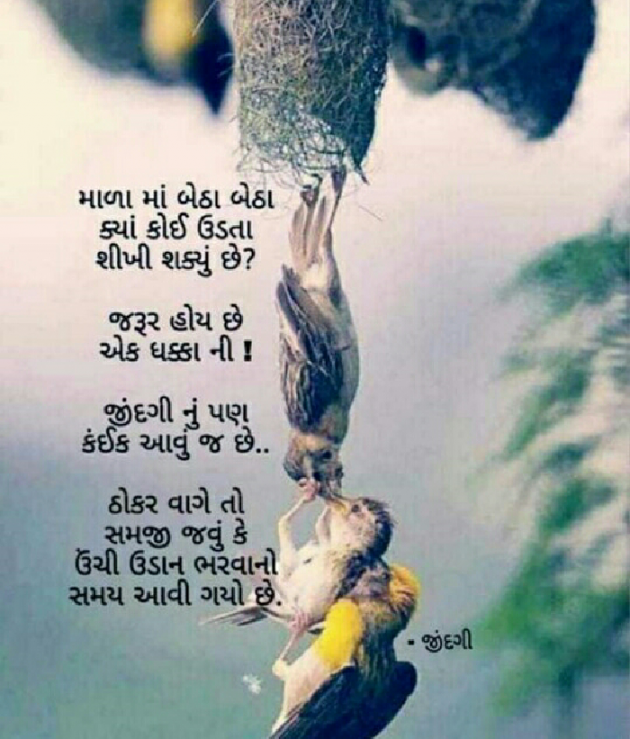 Gujarati Whatsapp-Status by Archna Patell : 111234113