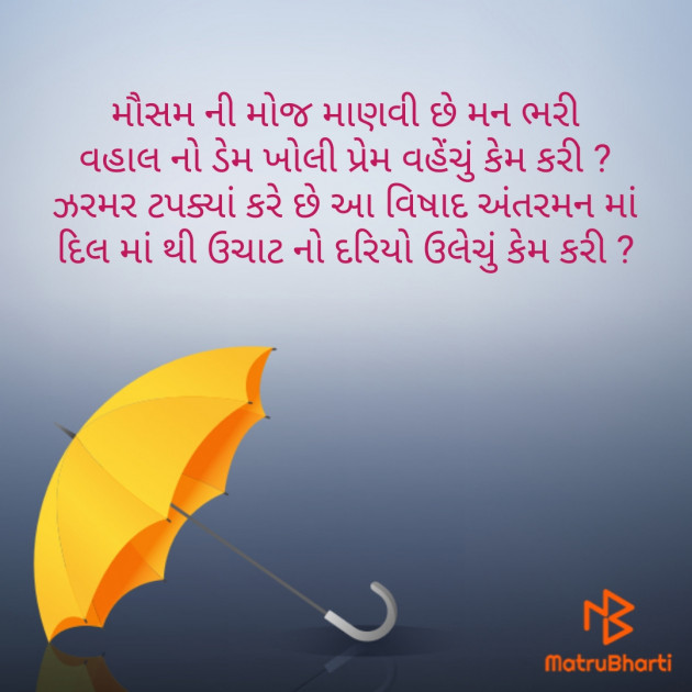 Gujarati Shayri by Amita Patel : 111234509