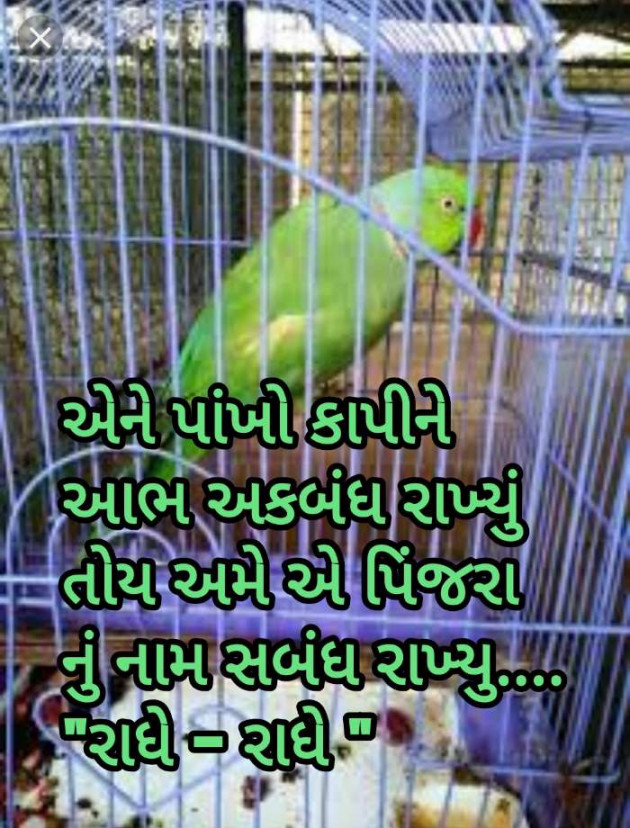 Gujarati Thought by Radhe Ahir : 111234945