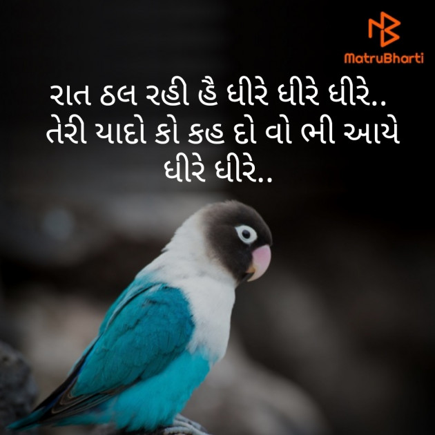 Gujarati Good Night by D S Dipu શબ્દો નો સાથ : 111235424