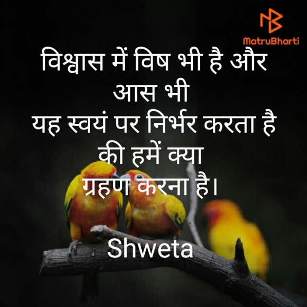 Hindi Quotes by Shweta Parmar : 111235551