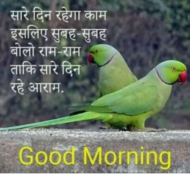 Hindi Quotes by Sawar Mal Patwari : 111235996