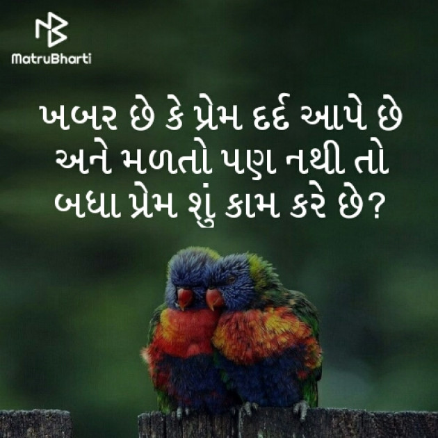 Gujarati Questions by Happy : 111236203