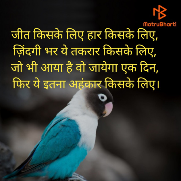 Hindi Blog by अnu : 111236242