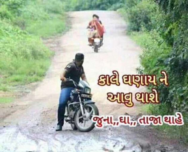 Gujarati Funny by Parmar Narvirsinh : 111236447