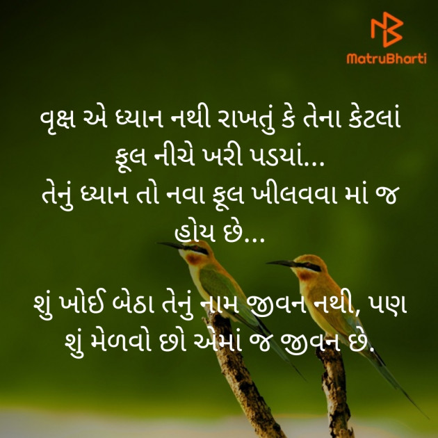 Gujarati Thought by Hir : 111236926